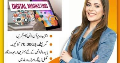 Digital Marketing E-commerce Course by Abdul Majid