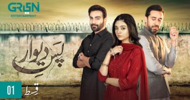 Pas e Deewar Episode 1 | Arslan Naseer | Noor Zafar Khan | Ali Rehman Khan