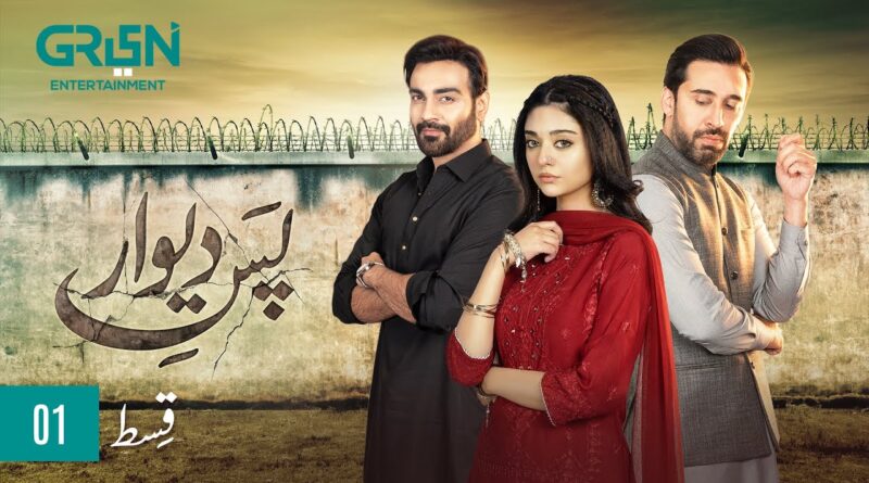 Pas e Deewar Episode 1 | Arslan Naseer | Noor Zafar Khan | Ali Rehman Khan